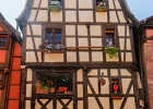 20240820 1012 P11 - 20/08/2024-Riquewihr(Alsace)