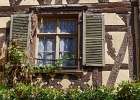 20240820 1017 P11 - 20/08/2024-Riquewihr(Alsace)