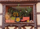 20240820 1024 P22 - 20/08/2024-Riquewihr(Alsace)