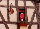 20240820 1025 P22 - 20/08/2024-Riquewihr(Alsace)