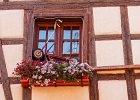 20240820 1026 P22 - 20/08/2024-Riquewihr(Alsace)