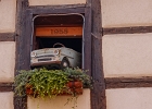 20240820 1027 P22 - 20/08/2024-Riquewihr(Alsace)