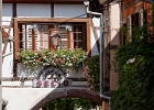 20240820 1047 P22 - 20/08/2024-Riquewihr(Alsace)