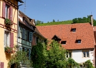 20240820 1050 P11 - 20/08/2024-Riquewihr(Alsace)