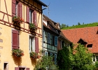 20240820 1051 P11 - 20/08/2024-Riquewihr(Alsace)