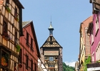 20240820 1057 P11 - 20/08/2024-Riquewihr(Alsace)