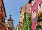 20240820 1058 P11 - 20/08/2024-Riquewihr(Alsace)