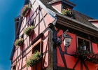 20240820 1059 P11 - 20/08/2024-Riquewihr(Alsace)