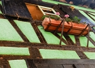 20240820 1064 P11 - 20/08/2024-Riquewihr(Alsace)