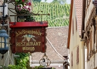 20240820 1071 P22 - 20/08/2024-Riquewihr(Alsace)