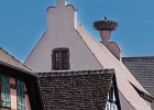 20240820 1081 P22 - 20/08/2024-Riquewihr(Alsace)