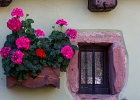 20240820 1088 P22 - 20/08/2024-Riquewihr(Alsace)