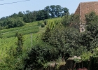 20240820 1091 P11 - 20/08/2024-Riquewihr(Alsace)