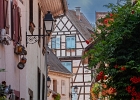 20240820 2002 P22 - 20/08/2024-Eguisheim(Alsace)