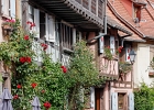 20240820 2004 P22 - 20/08/2024-Eguisheim(Alsace)