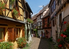 20240820 2021 P11 - 20/08/2024-Eguisheim(Alsace)