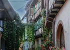 20240820 2032 P11 - 20/08/2024-Eguisheim(Alsace)