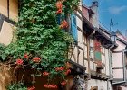 20240820 2034 P11 - 20/08/2024-Eguisheim(Alsace)