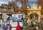 20241005-1001-P11 - 05/10/2024-Nancy-Jardin Ã©hÃ©mÃ¨re