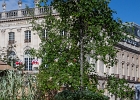 20241005-1012-P11 - 05/10/2024-Nancy-Jardin Ã©hÃ©mÃ¨re