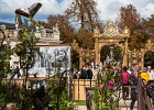 20241005-1018-P11 - 05/10/2024-Nancy-Jardin Ã©hÃ©mÃ¨re