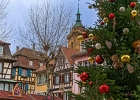 20241210-1004-P11 - 10/12/2024-Colmar-MarchÃ© de NoÃ«l