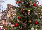 20241210-1006-P11 - 10/12/2024-Colmar-MarchÃ© de NoÃ«l