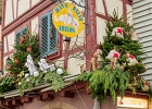 20241210-1018-P11 - 10/12/2024-Colmar-MarchÃ© de NoÃ«l