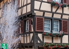 20241210-1044-P11 - 10/12/2024-Colmar-MarchÃ© de NoÃ«l