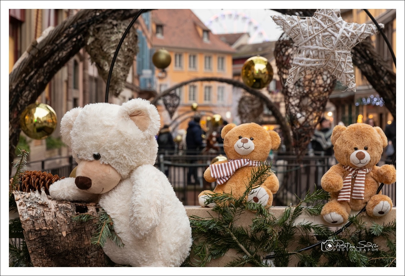 20241210-1057-P11-s-br-bs
