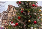 20241210-1006-P11-s-br-bs - 10/12/2024-Colmar-MarchÃ© de NoÃ«l