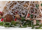 20241210-1031-P11-s-br-bs - 10/12/2024-Colmar-MarchÃ© de NoÃ«l