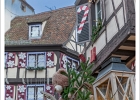 20241210-1041-P11-s-br-bs - 10/12/2024-Colmar-MarchÃ© de NoÃ«l