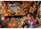 20241210-1053-P11-s-br-bs - 10/12/2024-Colmar-MarchÃ© de NoÃ«l