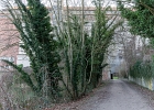 20250308 2031 P11 - 08/03/2025-Nancy-Site des grands moulins