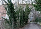 20250308 2032 P11 - 08/03/2025-Nancy-Site des grands moulins