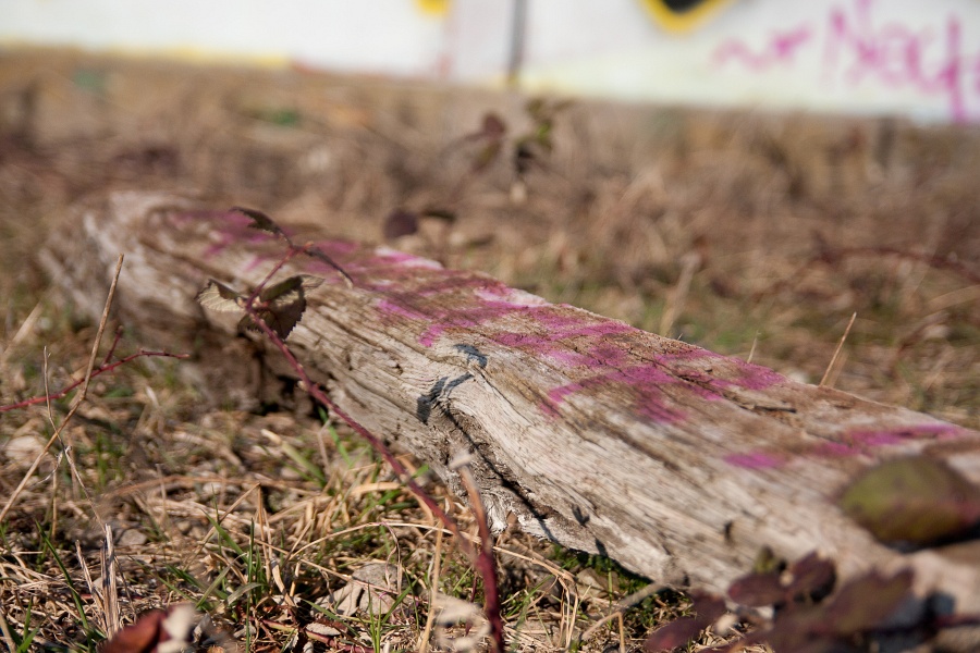 201003-tag-0017-p4.jpg