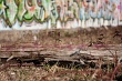 201003-tag-0016-p4