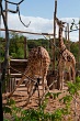 20120826-zooAmneville-1002