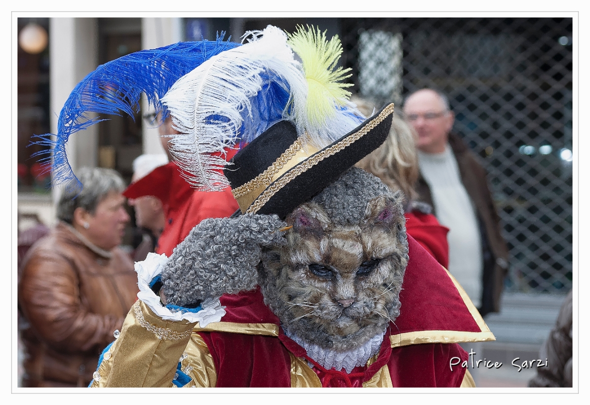 20130324-Remiremont-0077-p3.jpg - 24/03/2013-Carnaval vénitien de Remiremont