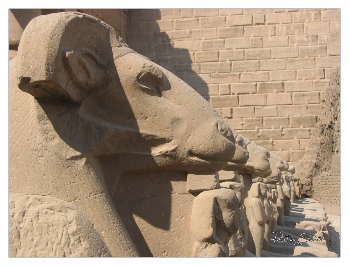 200402EgyJ3-0060 br lc