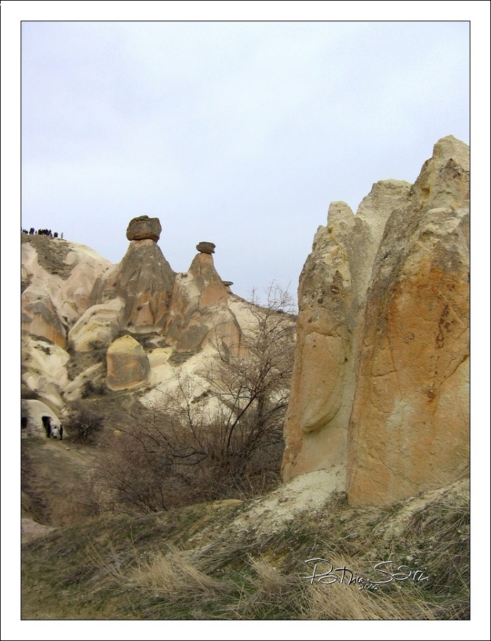 20050216-4020 br lc