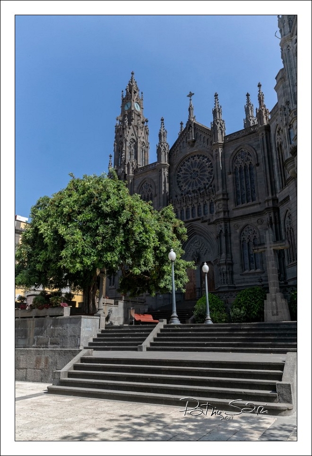 20190819-4002-p5 br lc
