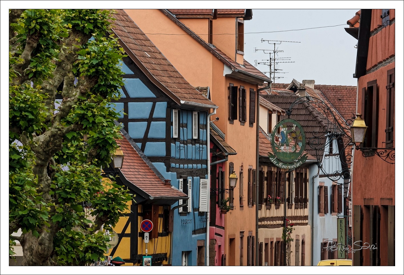 20150516-3007-p4 br lc