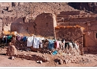 20111123-6029-p4 br lc - 23/11/2011-Ouarzazate-Oasis de Fint