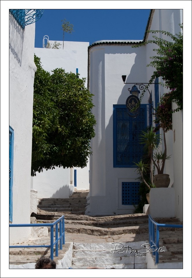 201008Tunisie-2031-p3 br lc