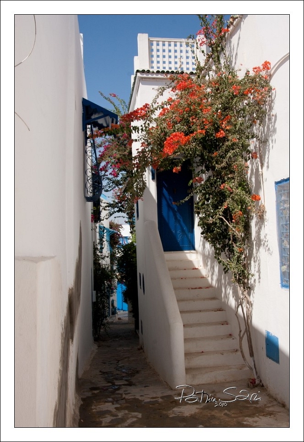 201008Tunisie-2090-p4 br lc