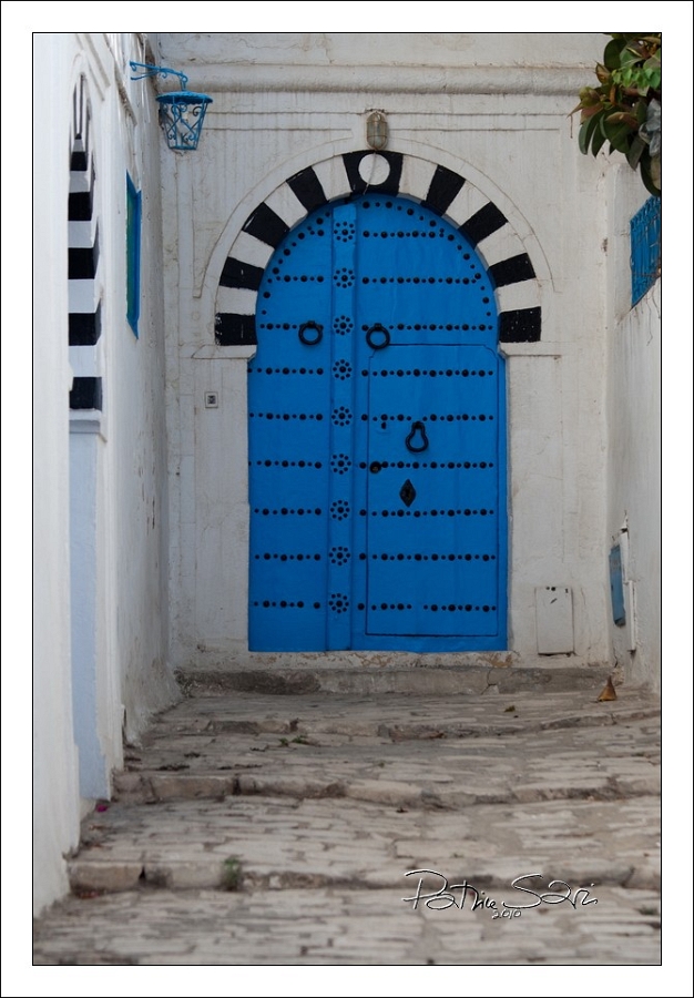 201008Tunisie-2006-p3 br lc