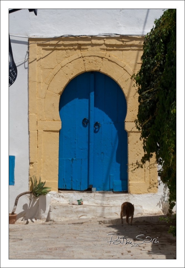 201008Tunisie-2028-p3 br lc