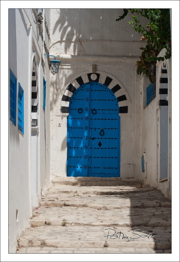 201008Tunisie-2036-p3 br lc